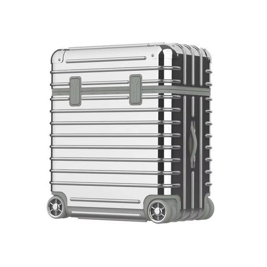 Hoshinoo Modern Silver Luggage Case